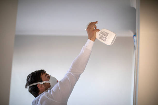 Best Emergency Mold Removal  in Dassel, MN