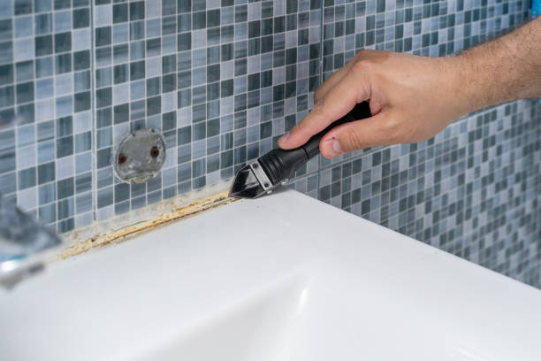 Trusted Dassel, MN Mold Removal Experts